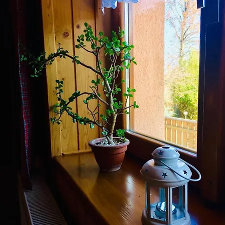 Privat Majo Gasthof 3*